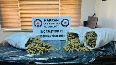 HARRAN'DA UYUŞTURUCU OPERASYONU:8 KİLO 240 GRAM ESRAR ELE GEÇİRİLDİ
