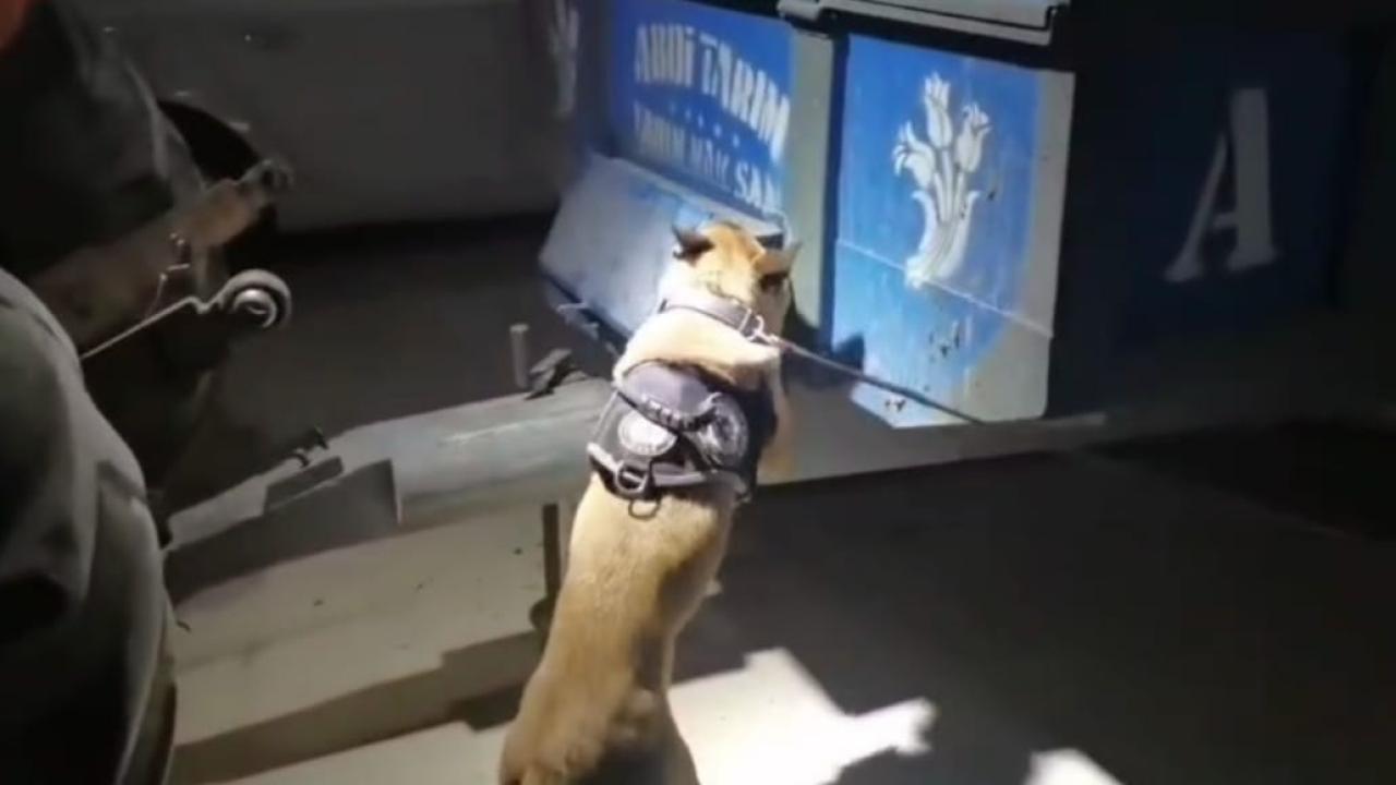 Traktör Kasasında Uyuşturucu Sevkiyatına Darbe! 25 Kilo Skunk Ele Geçirildi